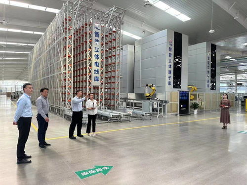 鶴壁經(jīng)濟(jì)技術(shù)開發(fā)區(qū)開展“一起益企”中小企業(yè)信息技術(shù)咨詢服務(wù)活動